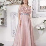 PINK DESIGNER ORGANZA GOWN